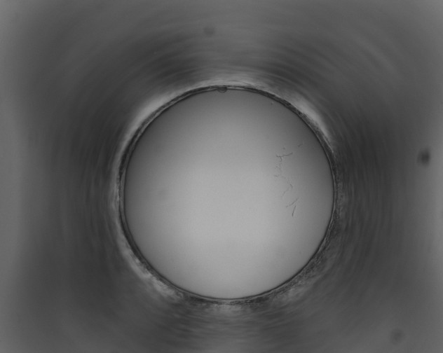 X0000090421088200707130941