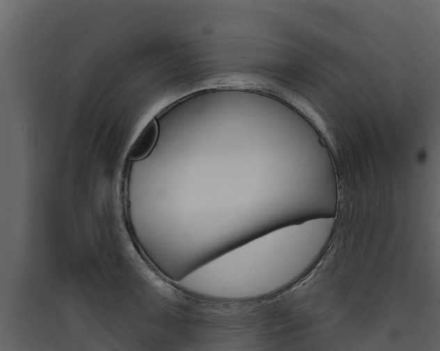 X0000090421091200707130941