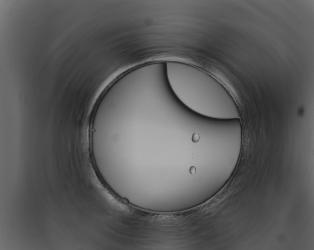 X0000090421092200707130941