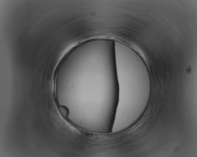 X0000090421095200707130941