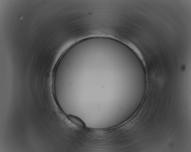 X0000090421096200707130941