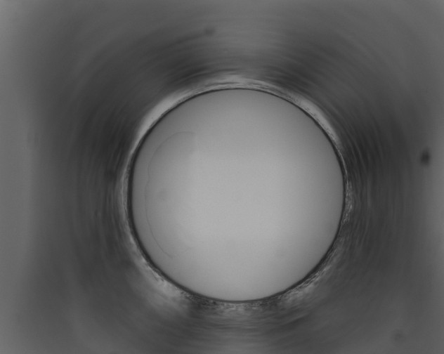 X0000090421098200707130941