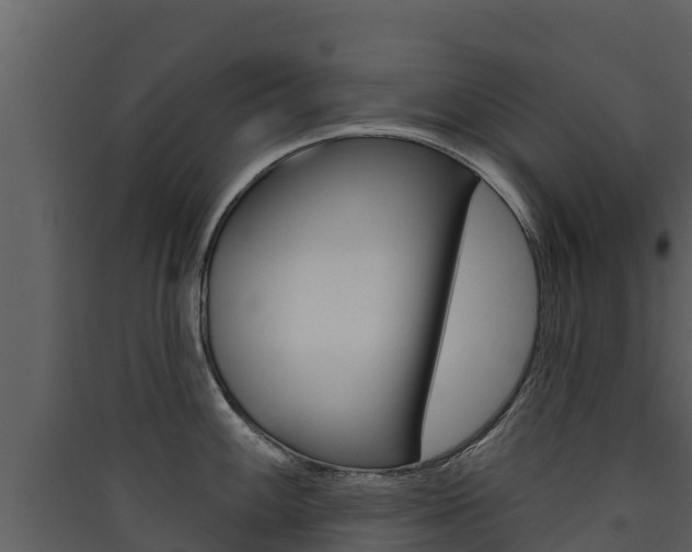 X0000090421100200707130941