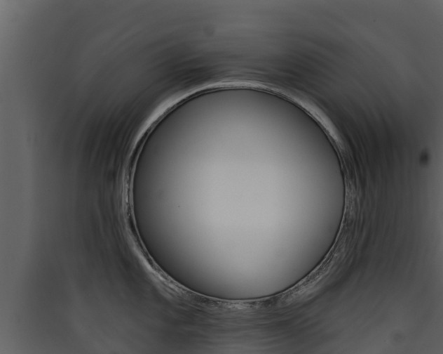 X0000090421101200707130941