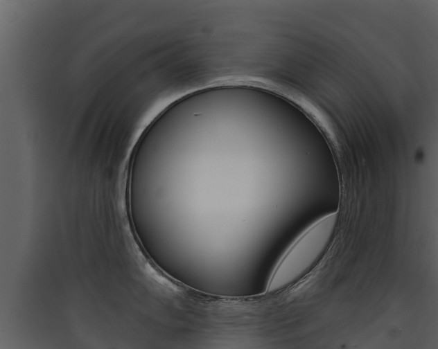 X0000090421102200707130941