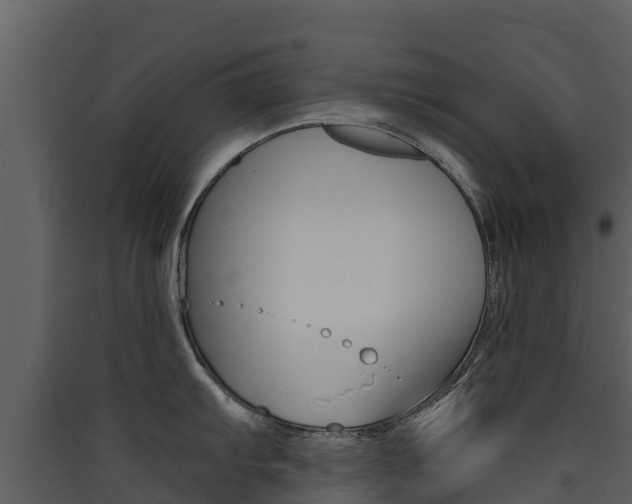 X0000090421103200707130941
