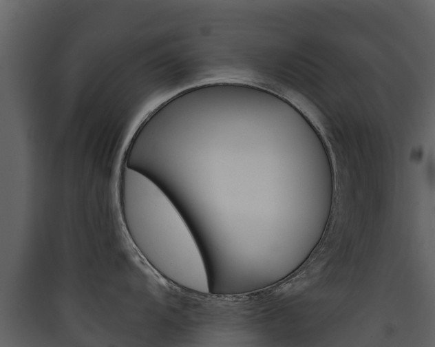 X0000090421104200707130941