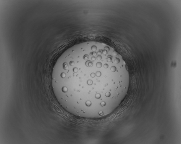 X0000090421105200707130941
