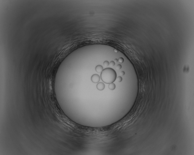 X0000090421106200707130941