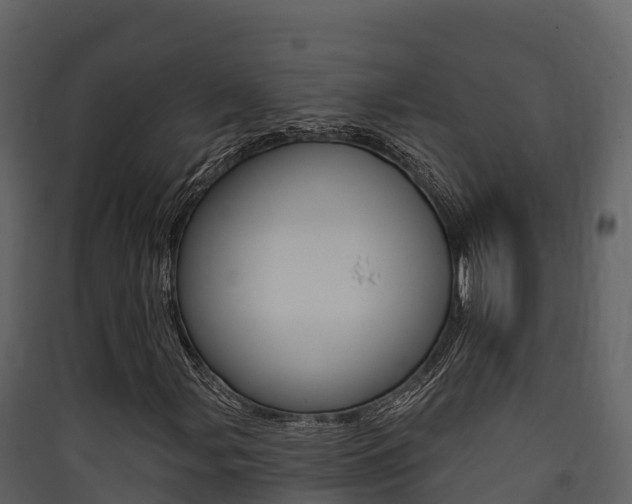 X0000090421107200707130941
