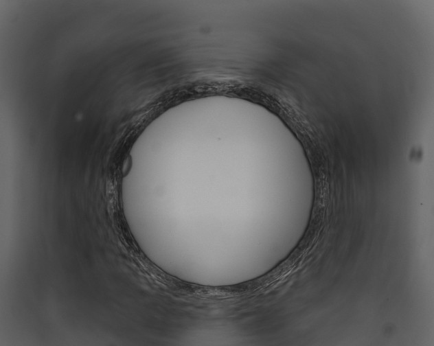 X0000090421109200707130941