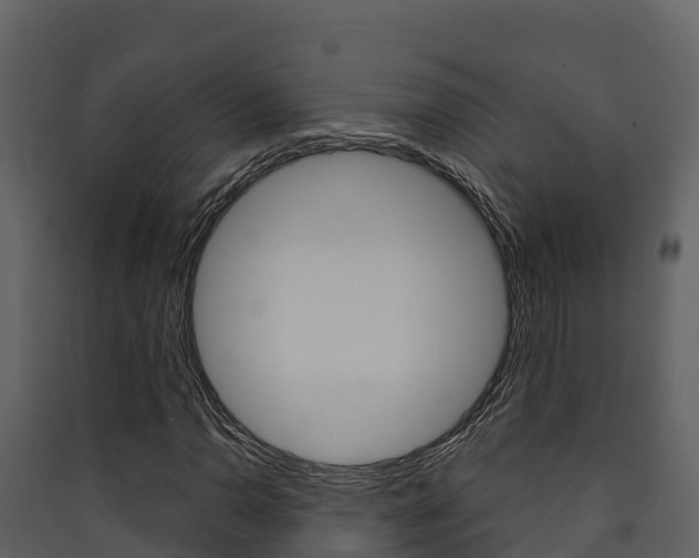 X0000090421110200707130941