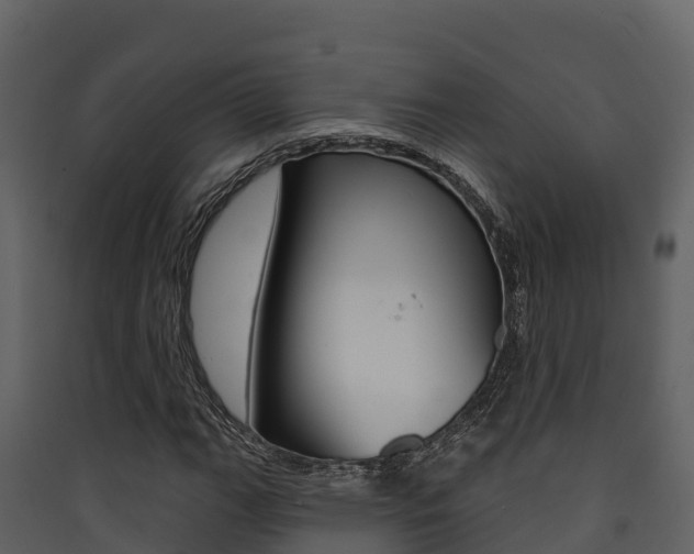 X0000090421111200707130941