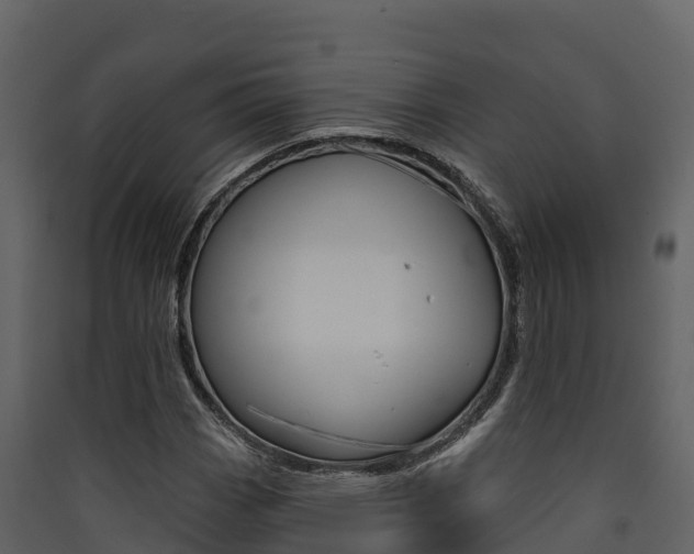 X0000090421113200707130941