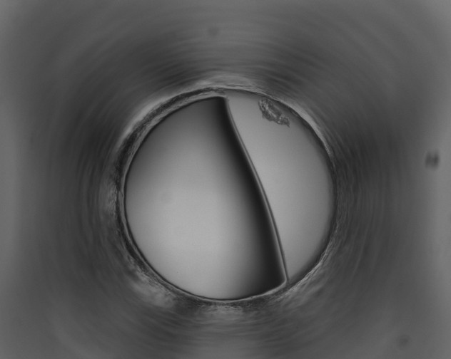 X0000090421115200707130941