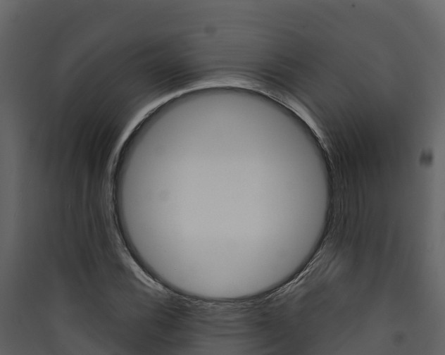 X0000090421116200707130941