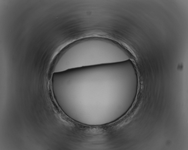 X0000090421117200707130941