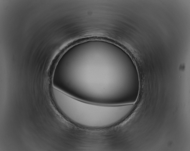 X0000090421118200707130941