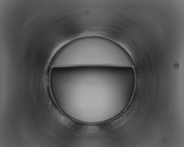 X0000090421119200707130941