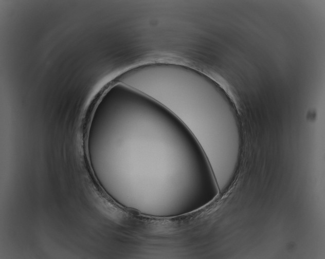 X0000090421120200707130941