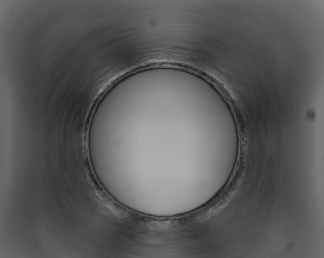 X0000090421121200707130941