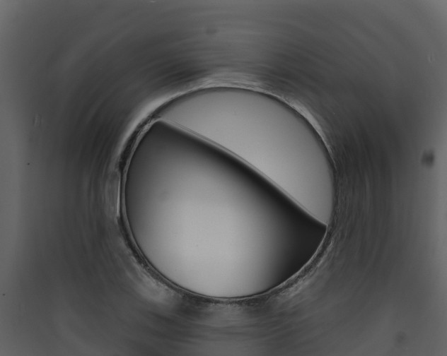 X0000090421123200707130941