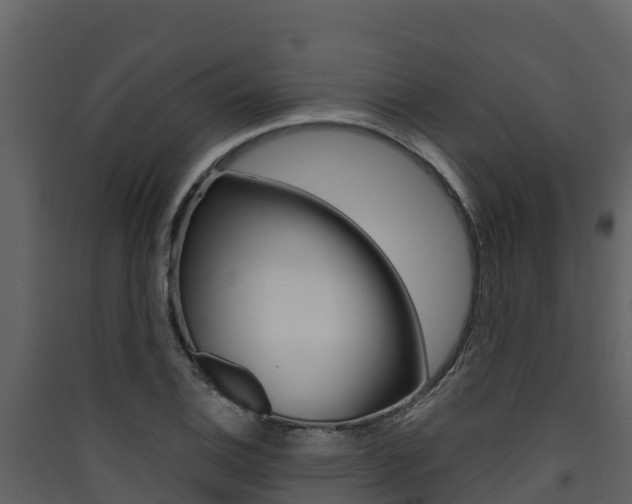 X0000090421124200707130941