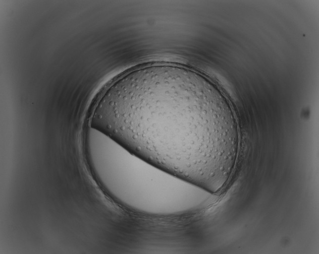 X0000090421125200707130941