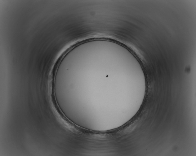X0000090421126200707130941