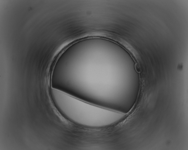 X0000090421127200707130941