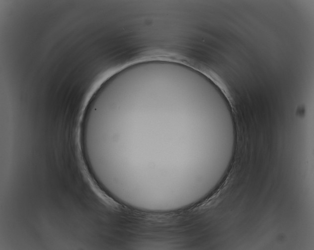 X0000090421128200707130941