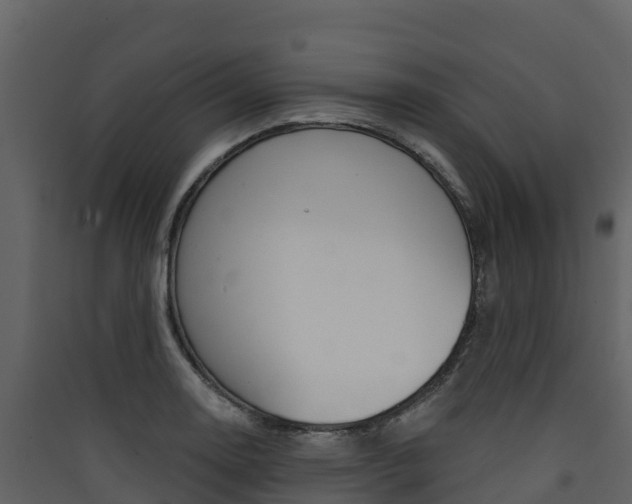 X0000090421130200707130941