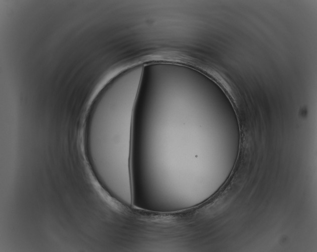 X0000090421131200707130941