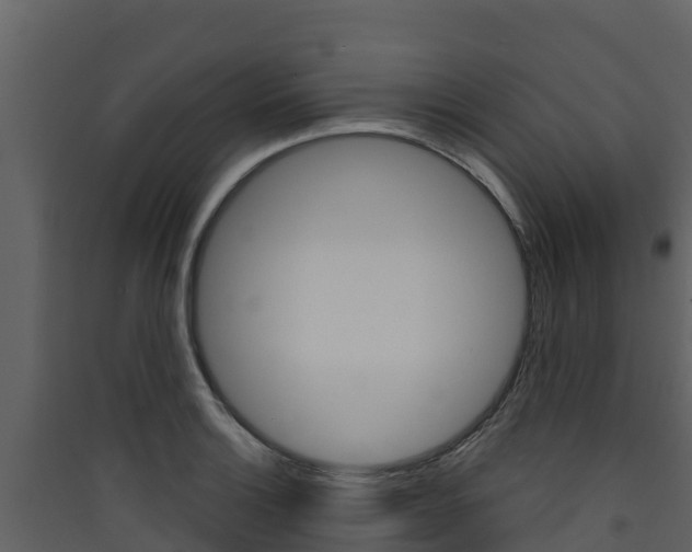 X0000090421132200707130941