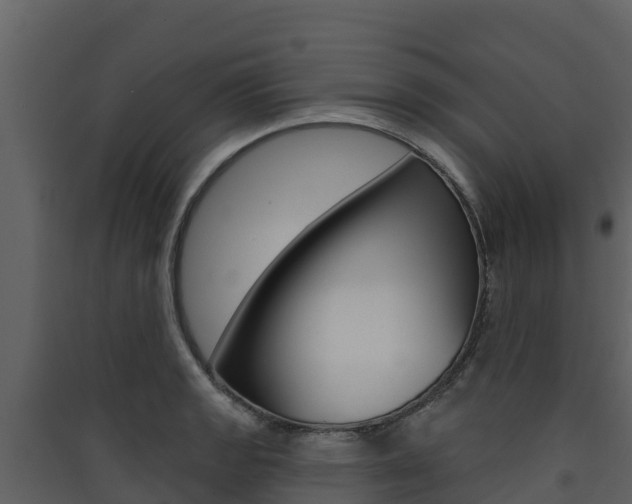 X0000090421133200707130941