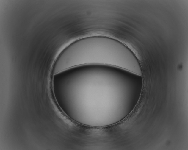 X0000090421134200707130941