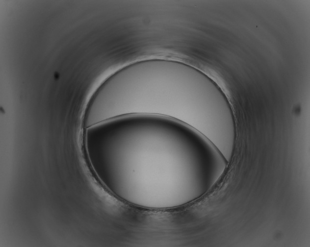 X0000090421136200707130941