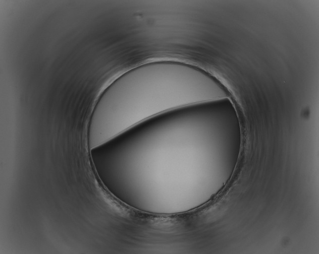 X0000090421137200707130941