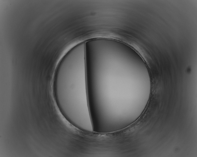X0000090421139200707130941