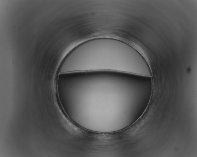 X0000090421141200707130941