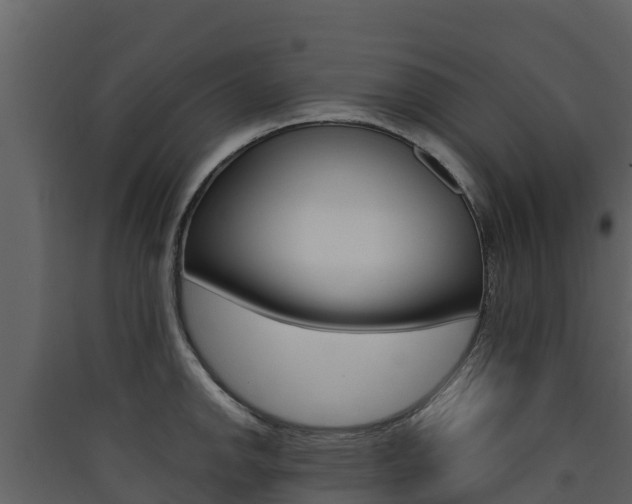 X0000090421142200707130941