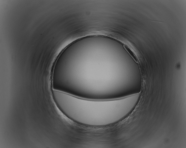 X0000090421143200707130941