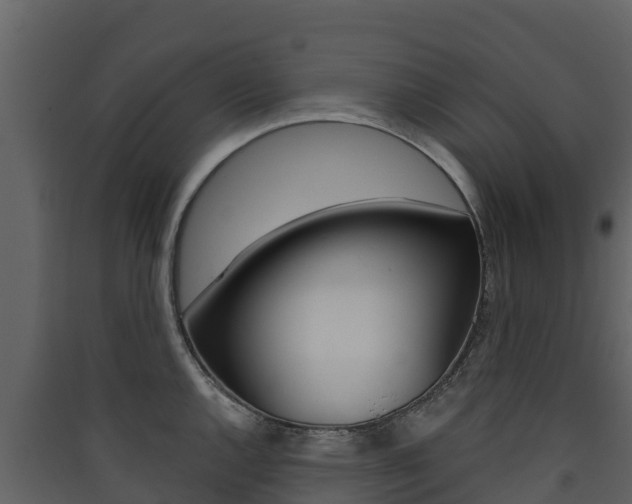 X0000090421144200707130941