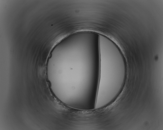 X0000090421145200707130941