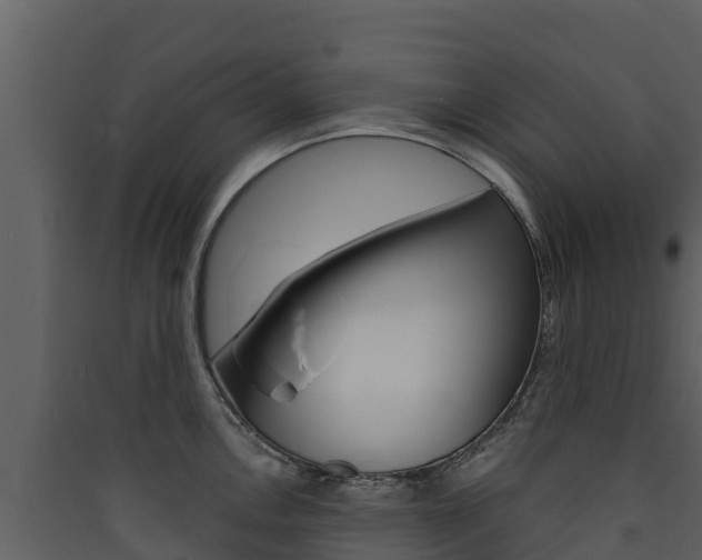X0000090421146200707130941