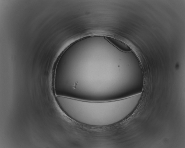 X0000090421147200707130941