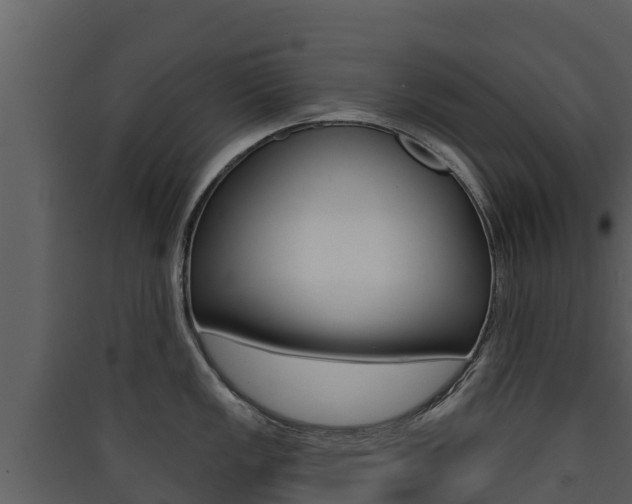 X0000090421149200707130941
