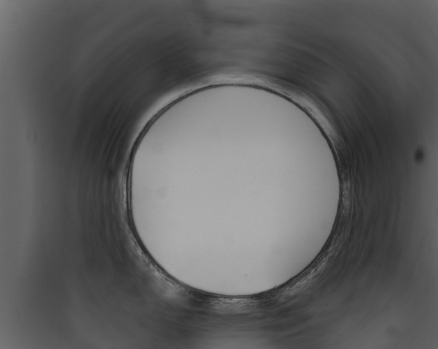 X0000090421150200707130941