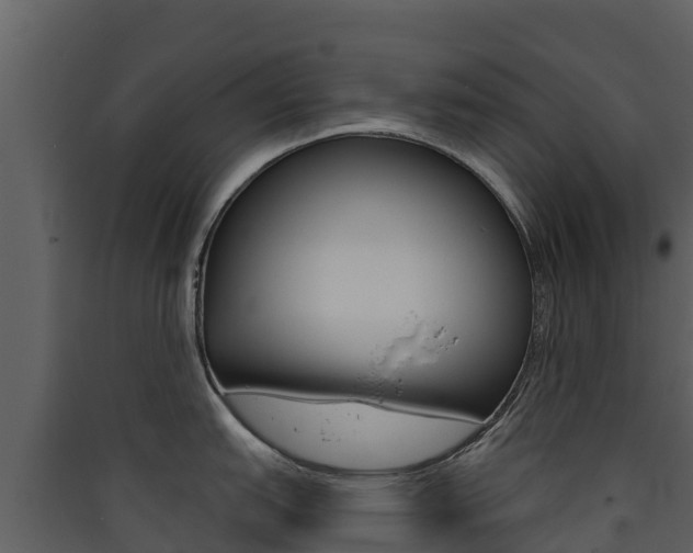 X0000090421151200707130941