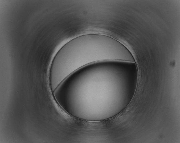 X0000090421152200707130941